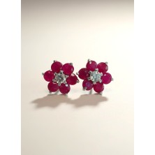 PNT. OB DIAMANTE Y RUBI