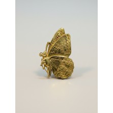 BROCHE OA MARIPOSA